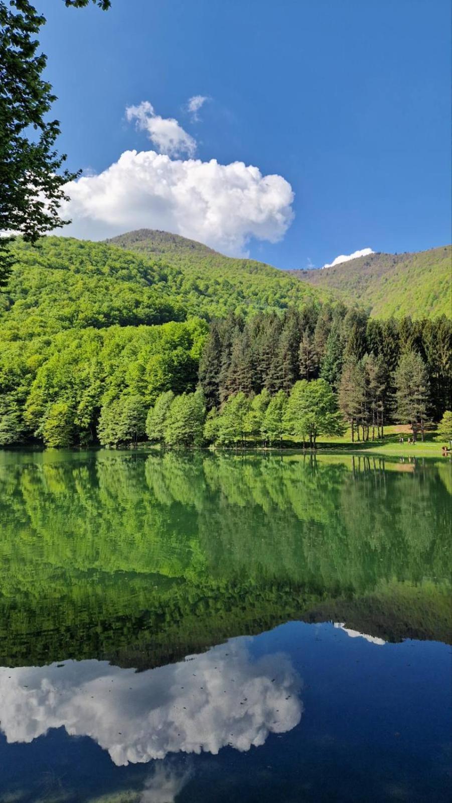 Apartmani Toki Balkana Mrkonjic Grad Dış mekan fotoğraf